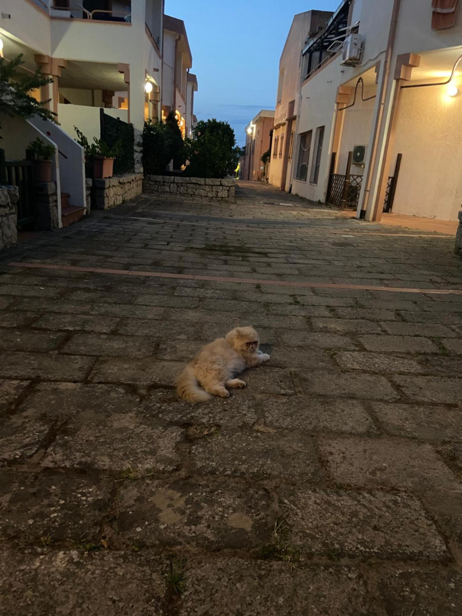 بالاو Club Esse Residence Capo D'Orso المظهر الخارجي الصورة
